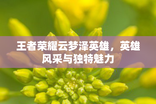 王者荣耀云梦泽英雄图片