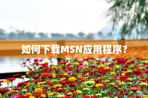 如何下载MSN应用程序图片