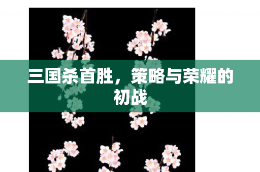 策略与荣耀的初战图片