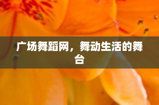 舞动生活的舞台图片