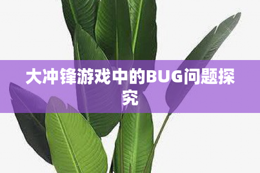 大冲锋游戏中的BUG问题探究图片