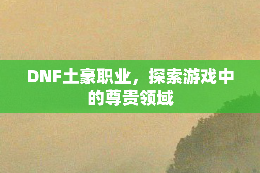 探索游戏中的尊贵领域图片