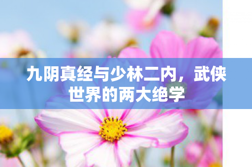 九阴真经与少林二内图片