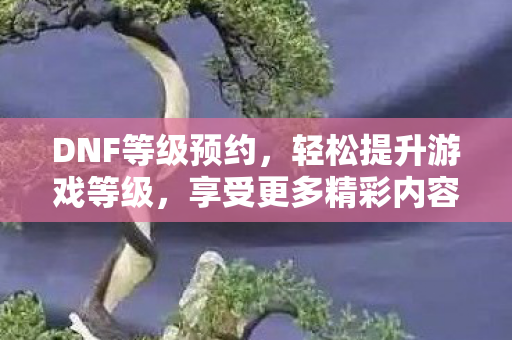 轻松提升游戏等级图片
