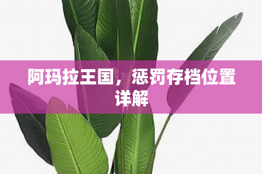惩罚存档位置详解图片