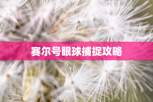 赛尔号眼球捕捉攻略图片