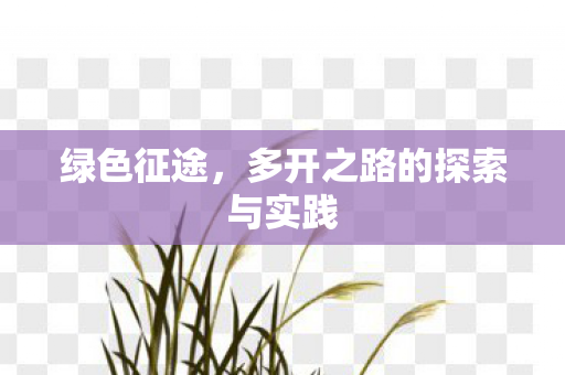 多开之路的探索与实践图片