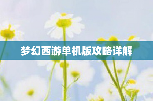 梦幻西游单机版攻略详解图片