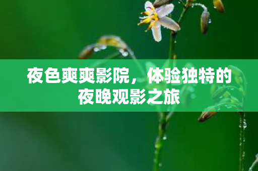 体验独特的夜晚观影之旅图片