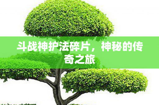 斗战神护法碎片图片