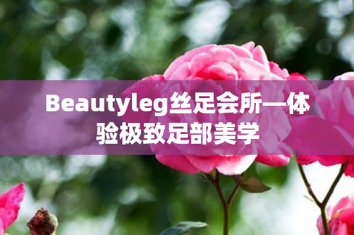Beautyleg丝足会所图片
