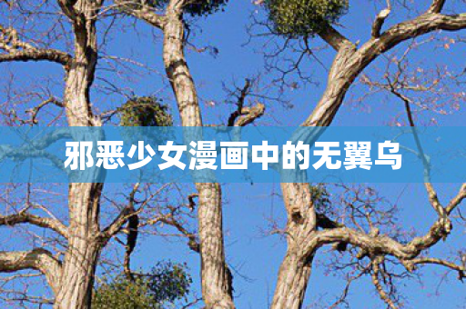 邪恶少女漫画中的无翼乌图片