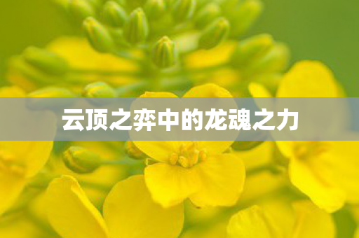 云顶之弈中的龙魂之力图片