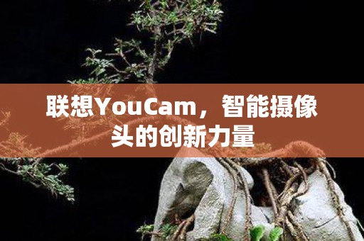智能摄像头的创新力量图片