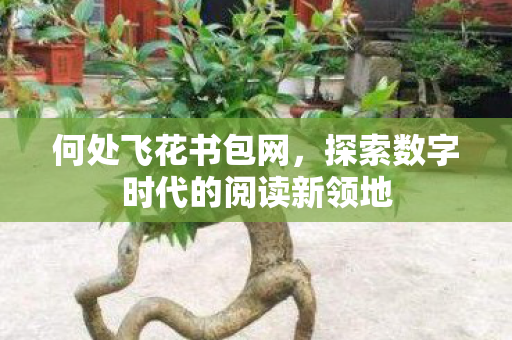探索数字时代的阅读新领地图片