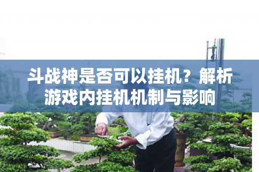 解析游戏内挂机机制与影响图片