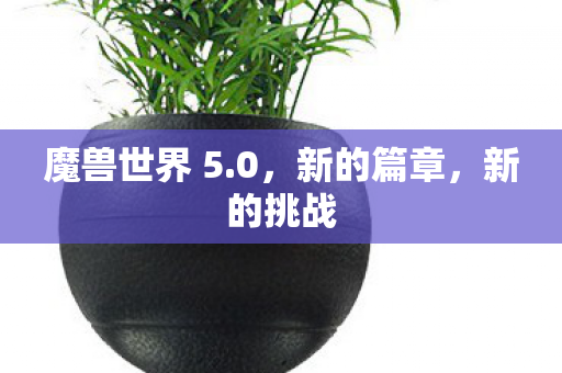 魔兽世界 5图片