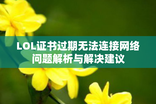 LOL证书过期无法连接网络问题解析与解决建议图片