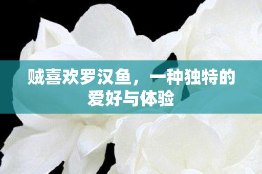 一种独特的爱好与体验图片