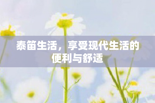 享受现代生活的便利与舒适图片