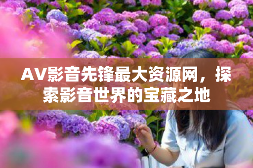 AV影音先锋最大资源网图片