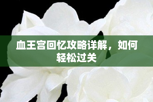 血王宫回忆攻略详解图片