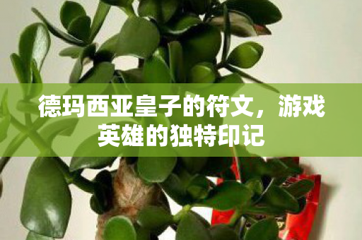 德玛西亚皇子的符文图片