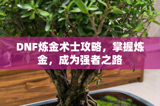 DNF炼金术士攻略图片