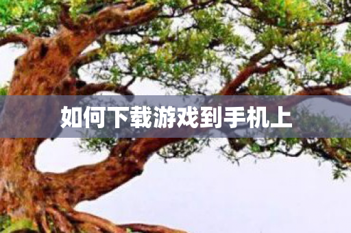 如何下载游戏到手机上图片