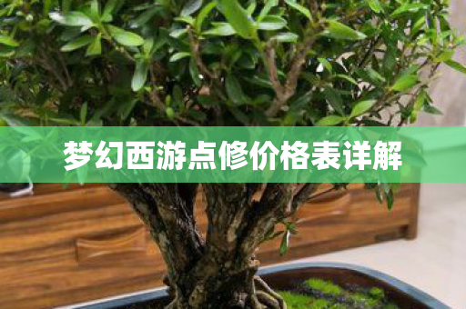 梦幻西游点修价格表详解图片