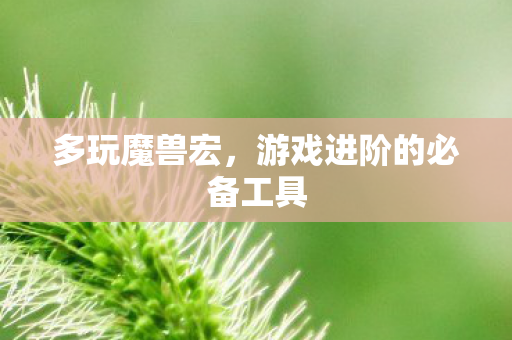 游戏进阶的必备工具图片