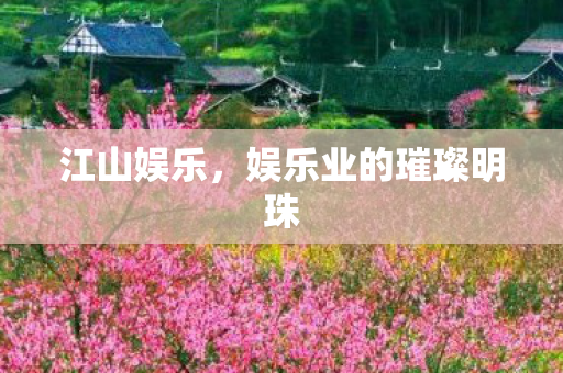 娱乐业的璀璨明珠图片