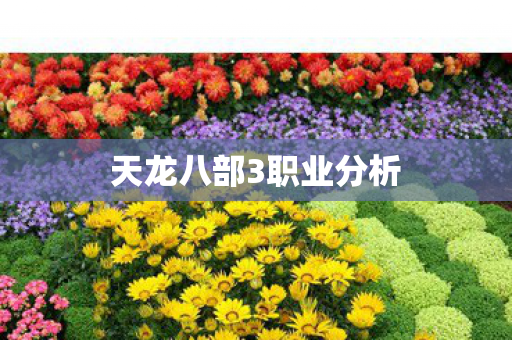 天龙八部3职业分析图片