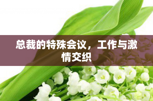 总裁的特殊会议图片