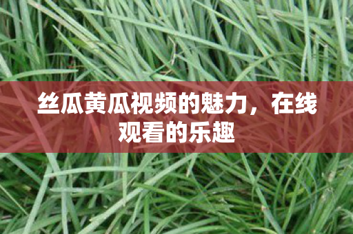 丝瓜黄瓜视频的魅力图片