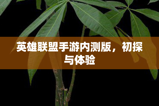 英雄联盟手游内测版图片