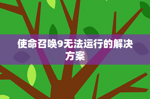 使命召唤9无法运行的解决方案图片