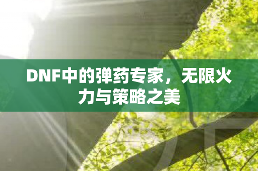 DNF中的弹药专家图片