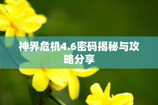 6密码揭秘与攻略分享图片