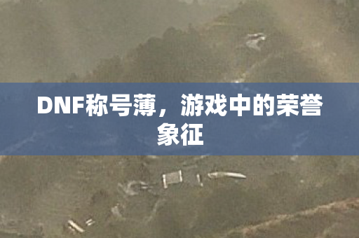 游戏中的荣誉象征图片
