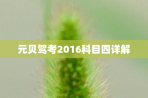 元贝驾考2016科目四详解图片