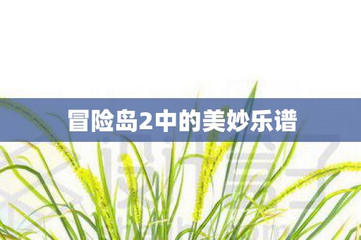 冒险岛2中的美妙乐谱图片