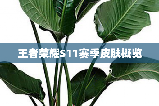 王者荣耀S11赛季皮肤概览图片