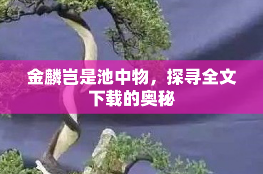 探寻全文下载的奥秘图片