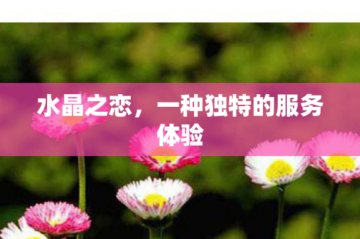 一种独特的服务体验图片