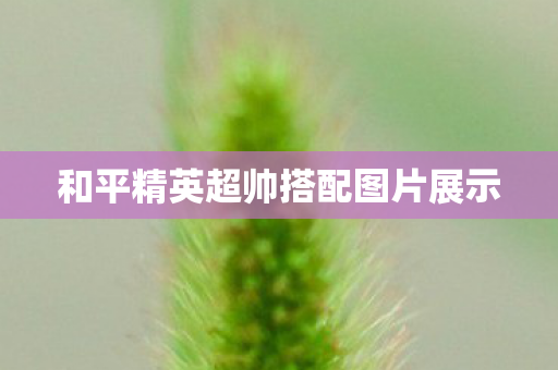 和平精英超帅搭配图片展示图片