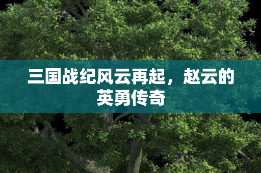三国战纪风云再起图片