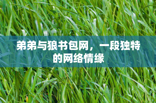一段独特的网络情缘图片