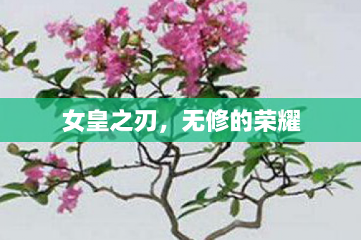 无修的荣耀图片