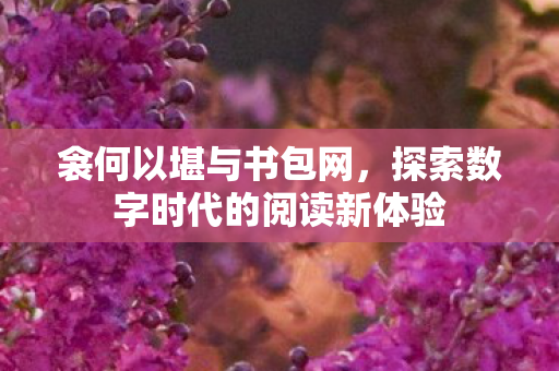 探索数字时代的阅读新体验图片